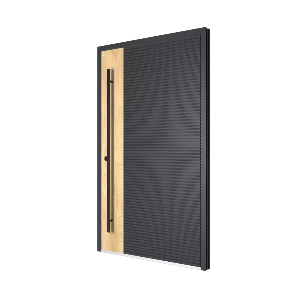 Premium aluminum entrance door with contemporary minimalist design.